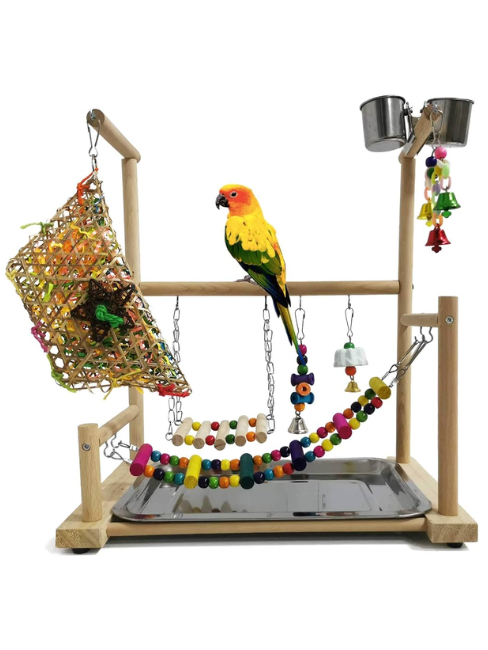 #22560 Portable Play Ground - Parrot Stairs